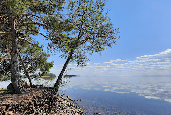 Uutisartikkelin kuvituskuva