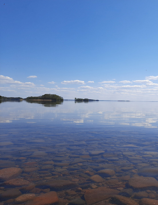 Pyhäjärven puolesta vuonna 2014