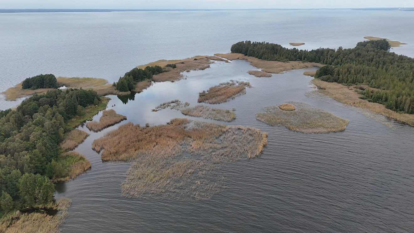 Herkät hiekat -hanke toteutti monimuotoisuuskunnostuksia Emäkarin (kuvassa) ja Iissalon saarialueilla.