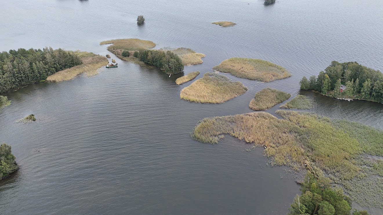 Iissalon kunnostuskohteesta poistettiin järviruokoa. Toimenpiteellä ehkäistään liettymistä ja umpeenkasvua.