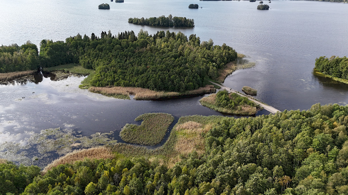 Ruovikkoalueita laikuttamalla lisätään luonnon monimuotoisuutta ja luontoarvoja, vahvistetaan alueen linnustollisia arvoja ja edistetään kalojen kutualueiden toimivuutta.