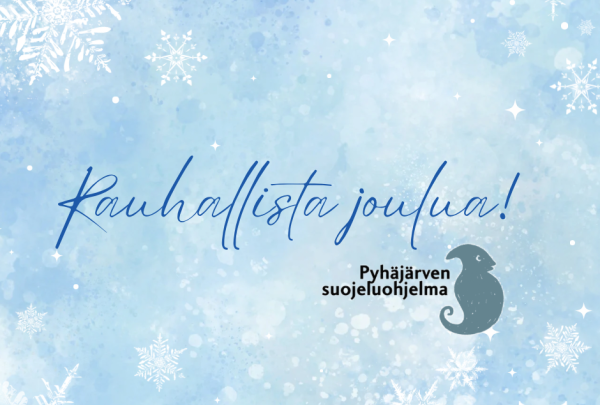 Uutisartikkelin kuvituskuva